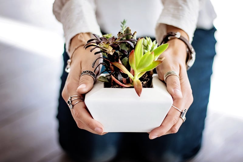 Botanical Decor